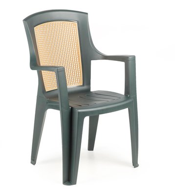 ➤Цена   Купить Кресло садовое ➤ ➤Кресла и стулья пластиковые➤Progarden➤VIO050VM фото