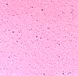 Матрац топпер Flip Granat Termofelt/Гранат термофелт, Розмір матрацу (ШхД) 70x190 503005892 фото 2
