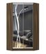 Угловой шкаф-купе Стандарт фасады зеркало+зеркало с пескоструйным рисунком лиана (44) 10матр.4 фото 1