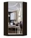 Угловой шкаф-купе Стандарт фасады зеркало+зеркало с пескоструйным рисунком лиана (9) 10матр.1 фото 1