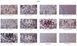 Комплект гостиный Гратантур-К резной 1000 + стулья Аваллон (4 шт) темный орех 440312171ПЛМ фото 5