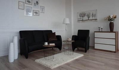 ➤Ціна 9 080 грн  Купити Нераскладной диван для гостиной арт030027.1➤Чорний ➤Диваны офисные➤Modern 3➤440303470.2.EMB фото