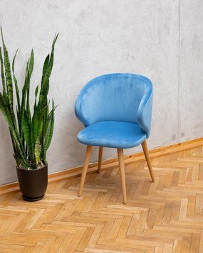 ➤Ціна 6 210 грн UAH Купити Стілець крісло обідній 51x45x81 спинка кругла тканина блакитний➤Блакитний ➤Стулья мягкие➤Nalp➤2034PLN фото